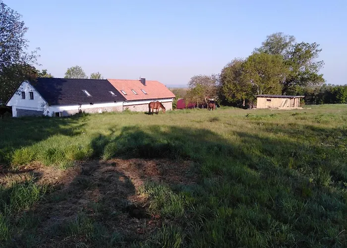 Cenovicky Dvur * Cestin