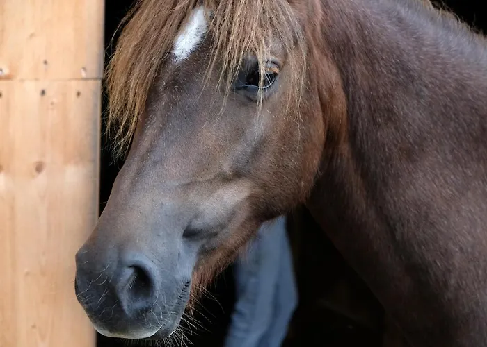 Gæstehus Cenovicky Dvur Cestin