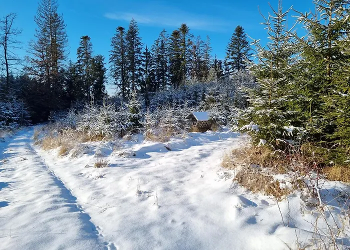 Cenovicky Dvur Gæstehus *