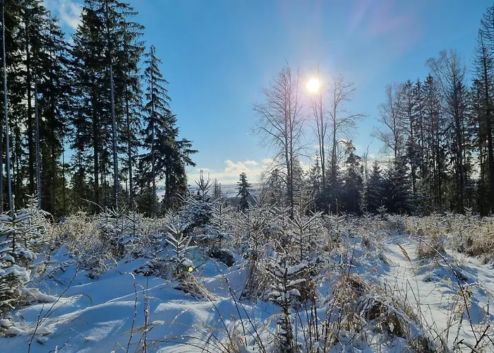 Vendégház Cenovicky Dvur Čestín