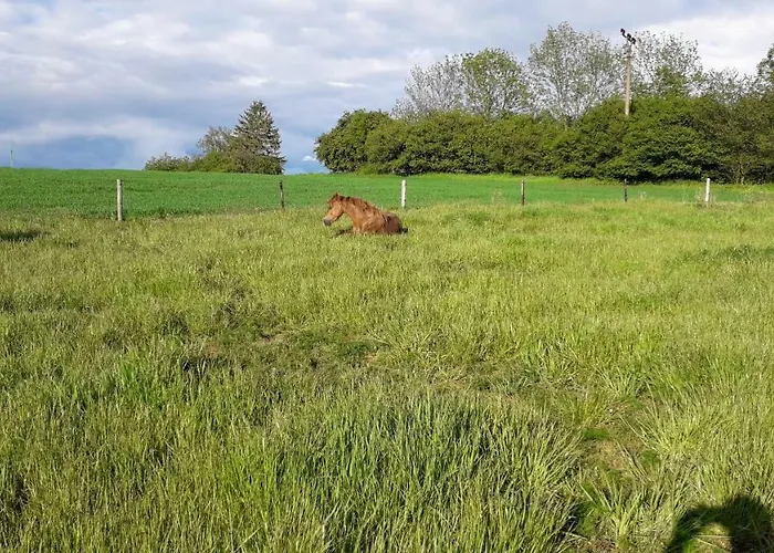 Gæstehus Cenovicky Dvur *