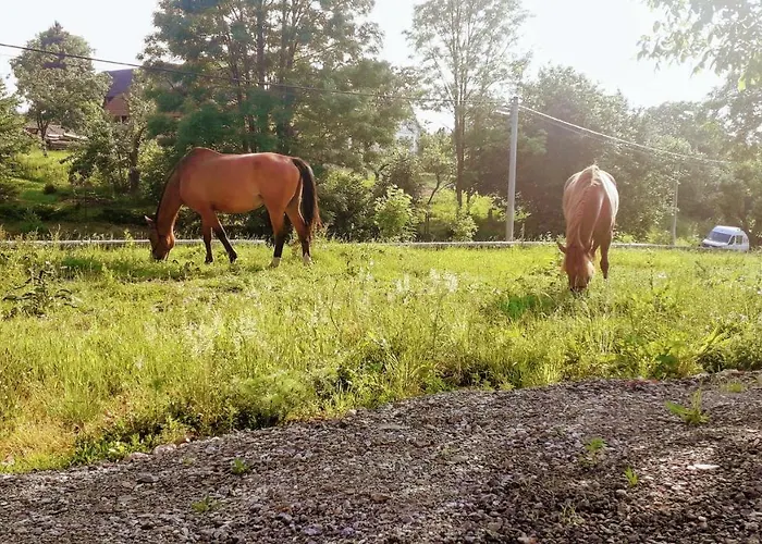 Cenovicky Dvur Gæstehus *